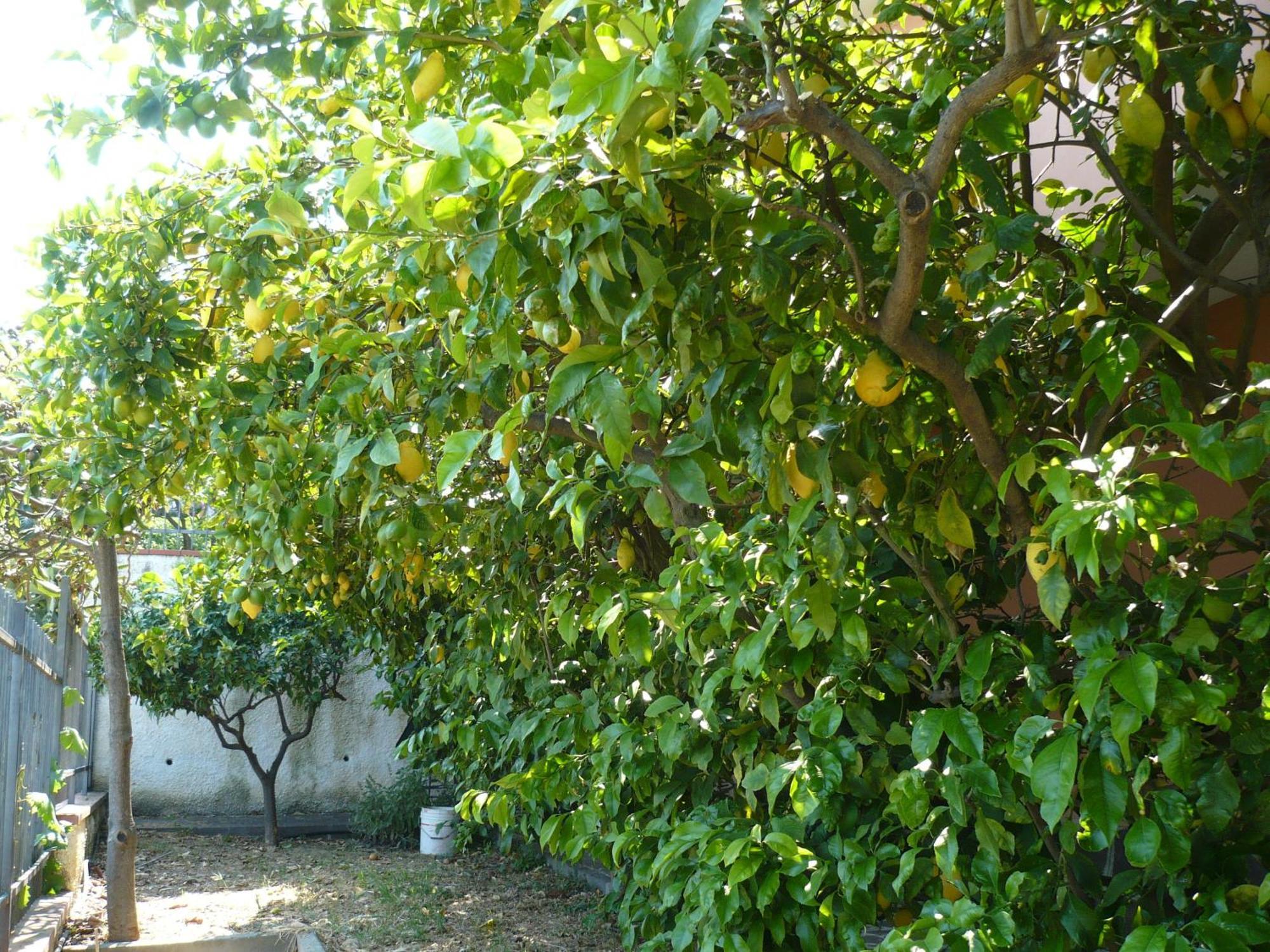 Azienda Agrituristica Villa Arianna Imperia Dış mekan fotoğraf