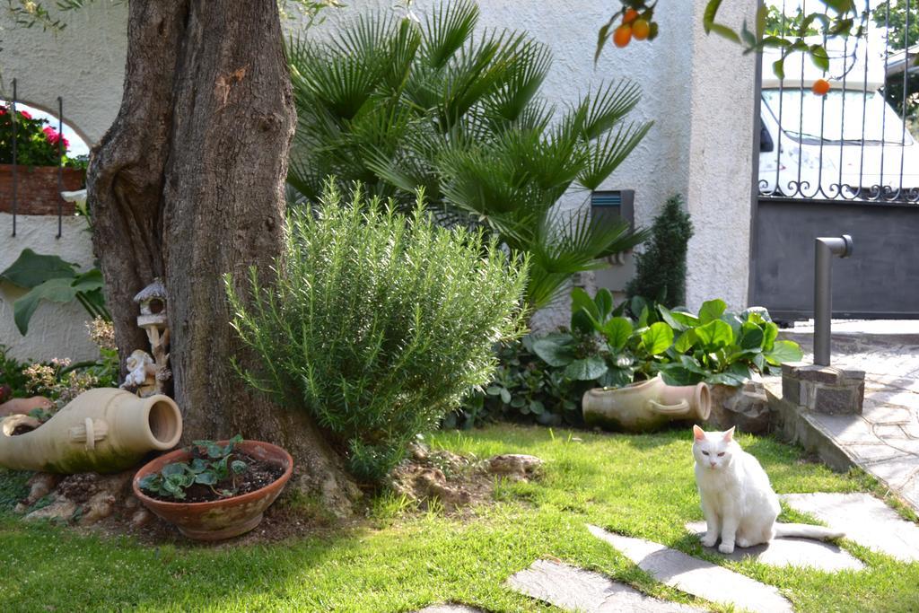 Azienda Agrituristica Villa Arianna Imperia Dış mekan fotoğraf