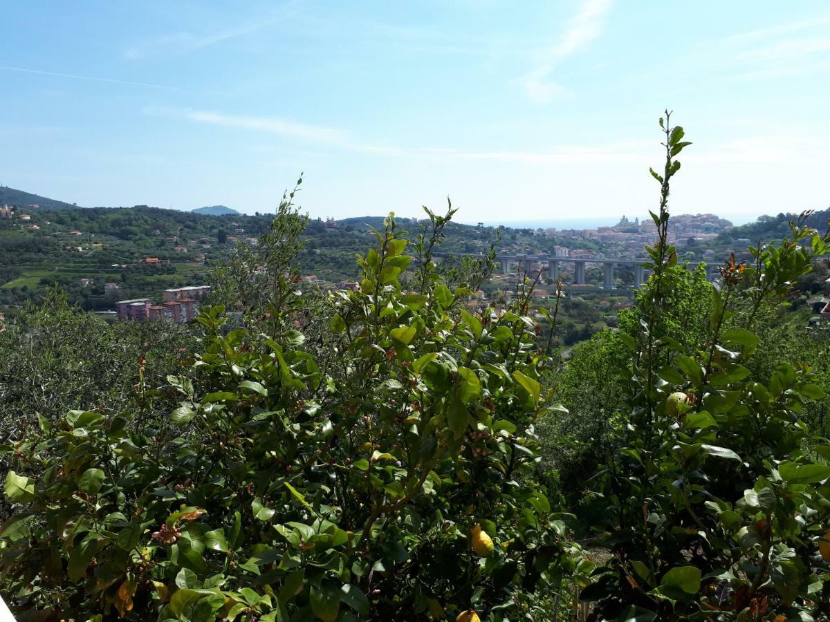 Azienda Agrituristica Villa Arianna Imperia Dış mekan fotoğraf