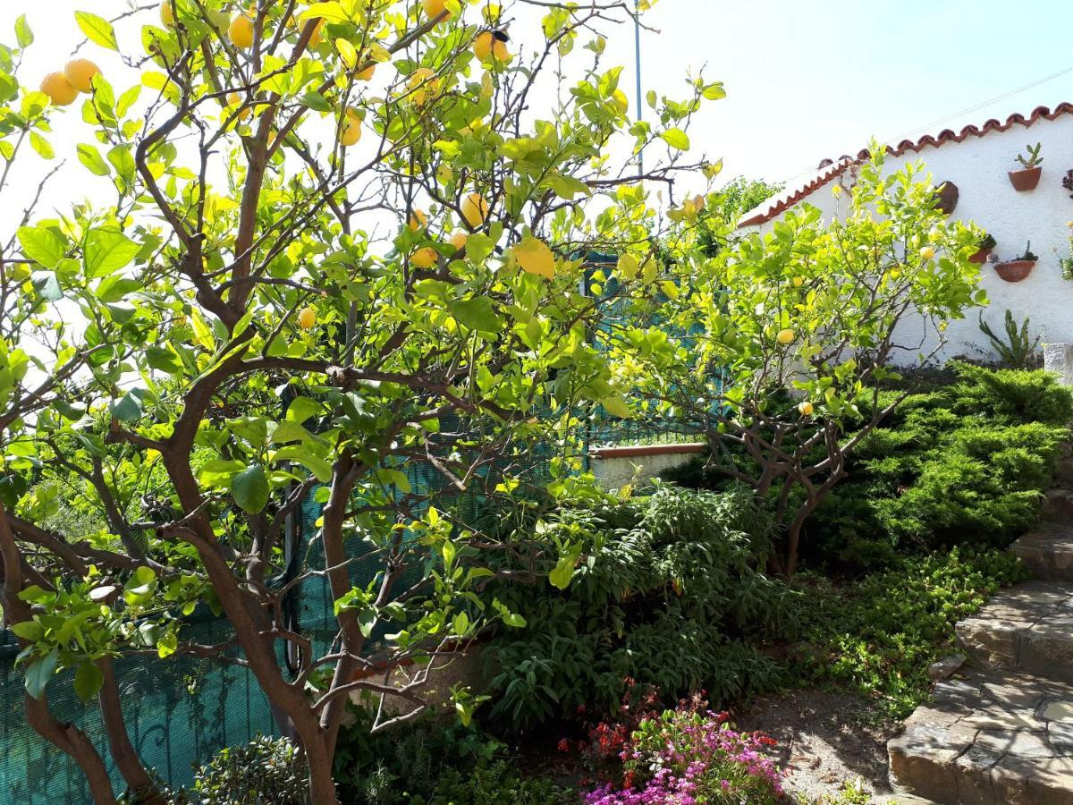 Azienda Agrituristica Villa Arianna Imperia Dış mekan fotoğraf